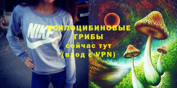 Альфа ПВП Алзамай