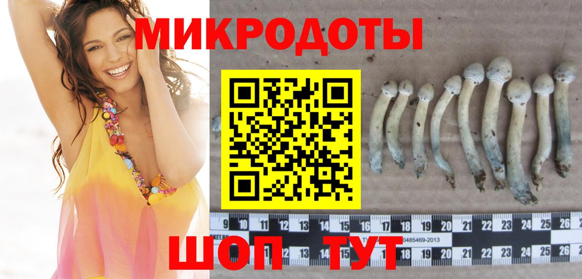 наркотики  Галлюциногенные грибы MAGIC MUSHROOMS  Вход с VPN  Качканар  Псилоцибиновые грибы GOLDEN TEACHER 
